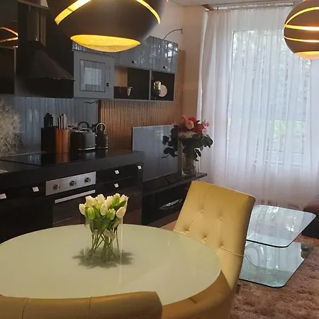 Květinový V Chomutově Apartamento *