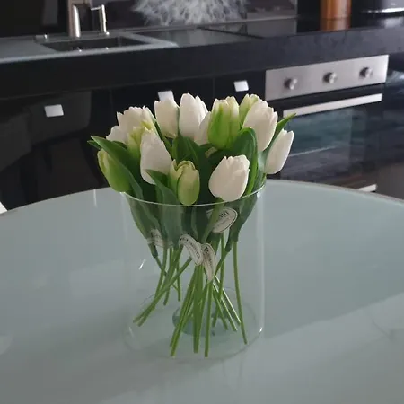 Apartamento Květinový V Chomutově *